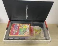 ポケモン 切手BOX 見返り美人 月に雁 プロモなしのサムネイル