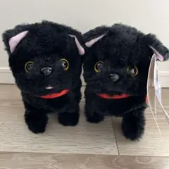 黒ネコ ぬいぐるみ 猫 動くぬいぐるみ とことこ歩いてニャーニャー鳴く子猫たち