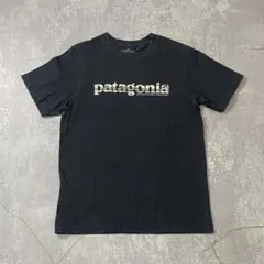 USA製PatagoniaパタゴニアオーガニックコットンプリントTシャツブラック