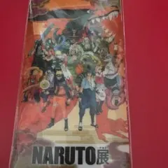 NARUTO ナルト展 チケットフォルダー