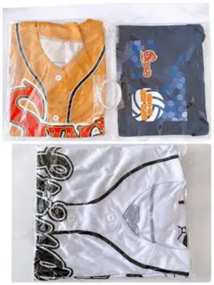 ジェイテクト　STIWNGS スティングス愛知　ファンクラブ会員特典　4点セット