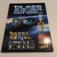【匿名配送】RISE iPad ガラスフィルム ブルーライトカット 新品未開封