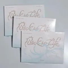 新品未開封 &TEAM Back to Life Mini CD-R 3枚セット