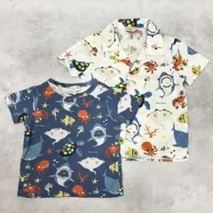 Item thumbnail for item 1a9d5bc1-b748-41af-b879-82be62c07a39