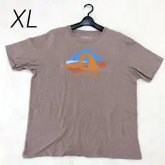エディーバウアー 半袖 Tシャツ XL ゆったり アウトドア ベージュ 大きいのサムネイル