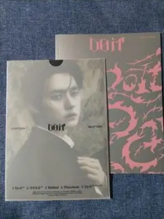 Stray Kids DOIT IT ver 開封済　リノ