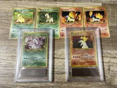 ARS9 旧裏 メガニウム　バクフーン　プレミアムファイル　psa