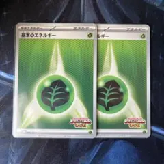 基本草エネルギー ビクティニ争奪戦