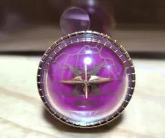 プロセカ　COLORFUL LIVE 5th　リングライトC　鳳えむ