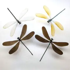 2026年最新】カワトンボの人気アイテム - メルカリ