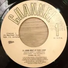 名曲! 美品! John Holt - Up Park Camp