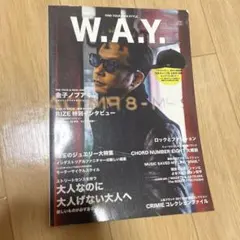 W.A.Y. Vol.03 雑誌 金子ノブアキ RIZE特集