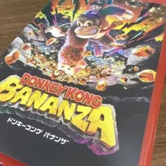 【美品】Switch2ドンキーコング バナンザ