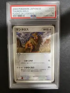 2026年最新】ケンタロス psa10の人気アイテム - メルカリ