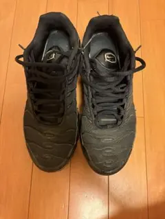 Nike Air Max Plus マップラ