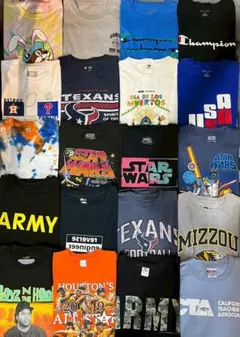 US古着 Tシャツ 30枚まとめ売り 卸 メンズサイズ ムービー カレッジ
