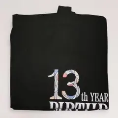 Item thumbnail for item f1916515-9b65-4c37-aec9-6c29e2d4ef70