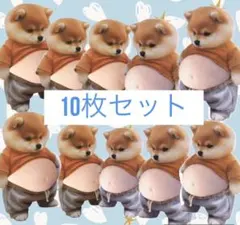 おなかぷにぷにシール　枚セット お腹　柴犬　スクイーズ　シリコン　まとめ売り