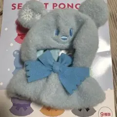 み*こ様 ディズニーストア シークレットポンチョ 水色