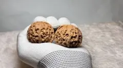 Item thumbnail for item e53a1724-f376-4067-adaa-fc62a010617e