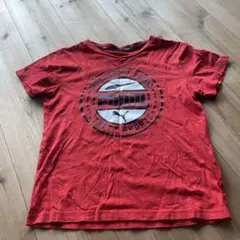 Item thumbnail for item 55b20f11-d2a1-47de-a619-f704ec7ec86c