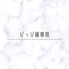 ✴︎ぴっぴ様専用✴︎