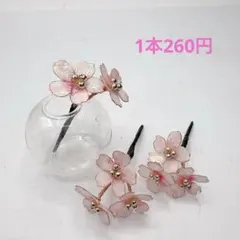 Item thumbnail for item 422205b0-8933-4d23-8a57-8986694b8143