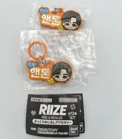 RIIZE ライズ　ぷっくりめじるしアクセサリー ANTON　アントン2個セット