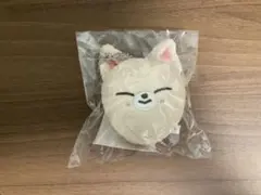 ☆Stray Kids☆POPUP STORE SKZOOぬいぐるみマグネット☆ - メルカリ