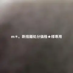 m＊。断捨離処分価格★様専用ページ