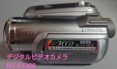 2026年最新】nv-gs300の人気アイテム - メルカリ