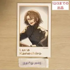 【12/3までの出品】SitR 上海　ルカ　チェキ1枚