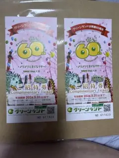 【期限5/31まで】グリーンランド 入園券 2枚セットのサムネイル