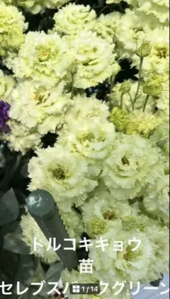 なか様 リクエスト 3点 まとめ商品