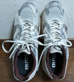 MIZUNO WAVE RIDER 10 （3-212）