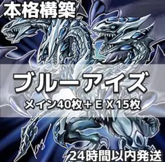 遊戯王 青眼の白龍 デッキ 本格構築 メイン40枚＋EX15枚