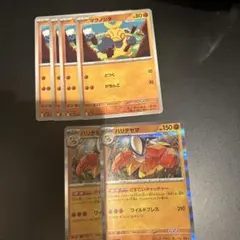 ポケモンカード マクノシタ ハリテヤマ 進化ライン　どすこいキャッチャー