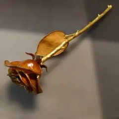 5465) 本物のバラをコーティング飾り 24K？ - メルカリ