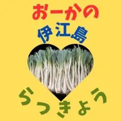 伊江島産♪島らっきょう5.5㎏① 伊江島産 島らっきょう1.5キロ - メルカリ