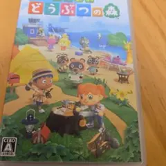 あつまれどうぶつの森　Switch