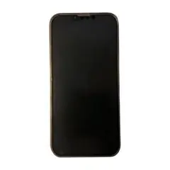 Apple iPhone 13 Pro グラファイト