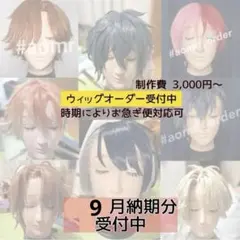 2026年最新】ウィッグ オーダーの人気アイテム - メルカリ