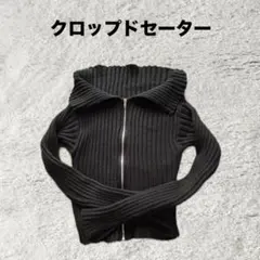 SHEINクロップドセーター ブラック Sサイズレディース トップス