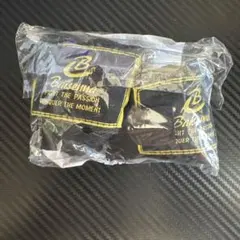 Item thumbnail for item 36323118-3774-41d4-8556-71a3bb298cb4