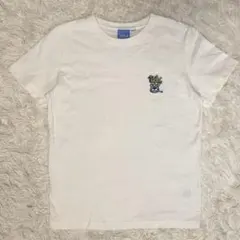 カレッジロゴ アメカジ ストリート　ユーシーエルエー　UCLA Tシャツ　古着のサムネイル