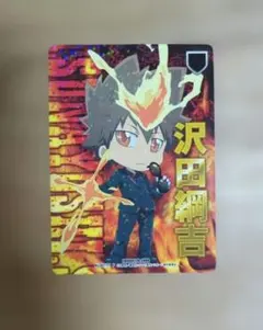 家庭教師ヒットマンreborn! デコレクションポストカード 沢田綱吉 超