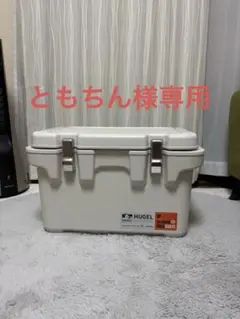 ◾︎ともちん様専用◾︎ クーラーボックス 小型 20L アイリスオーヤマ