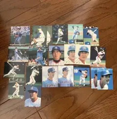 ヤクルトスワローズ選手カードセット　23枚セット