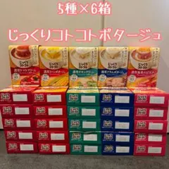 【30箱】じっくりコトコトスープ 5種アソート 各6箱/合計90食
