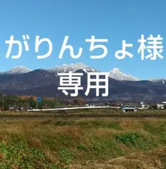 がりんちょ様 リクエスト 2点 まとめ商品